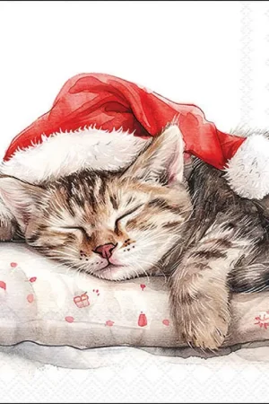 Serviette « Dreaming About X-Mas » Prix Réduit
