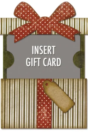Gabarit d’estampe Sizzix Thinlits « Gift Card Package by Tim Holtz » Livraison Express