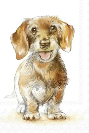Serviette « Fritz » Acheter En Ligne