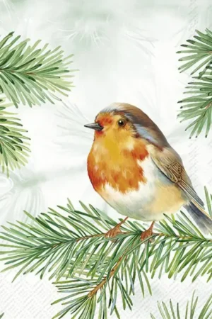 Serviette « Charming Robin » Prix Réduit