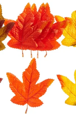 Bon Plan Feuilles d'automne VBS, assortiment