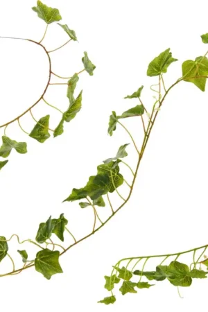 Vente Flash Guirlande de lierre « Greenery »