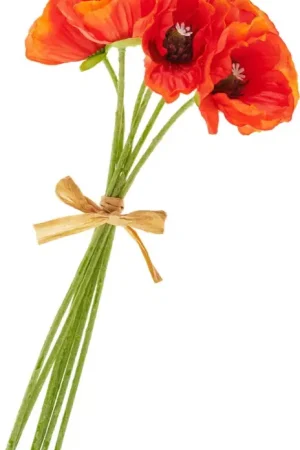 Affaire À Saisir Bouquet de coquelicots, orange