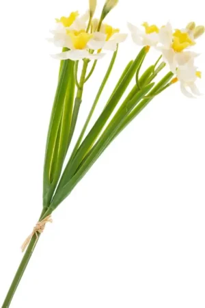 Bouquet de narcisses « Yellow / White » Meilleur Choix