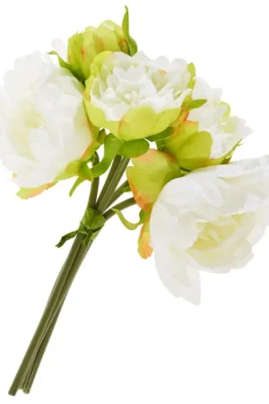 Quantité Limitée Bouquet de pivoines avec 5 fleurs