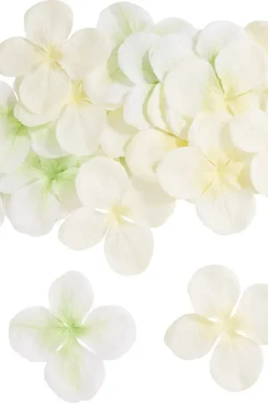 Petit Prix Fleurs d'hortensia