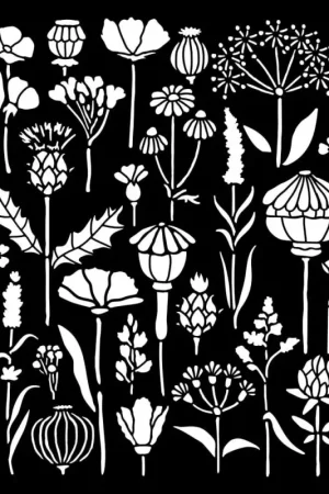 Pochoir « Herbarium Silvae - Herbariums » Petit Prix