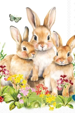 Serviette « Bunny Family » Meilleure Vente