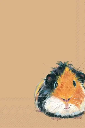 Nouveauté Serviette « Pedro »