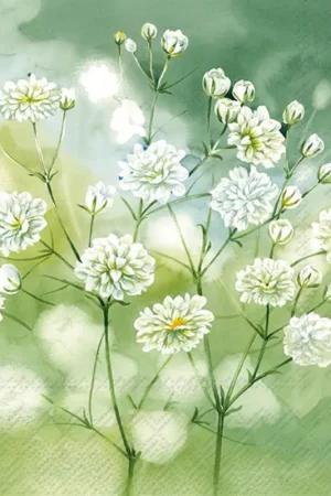 Serviette « Little Beauties » Vente Directe