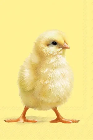 Dernière Chance Serviette « Easter Chick »