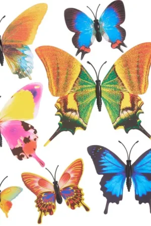 Petit Prix Papillons, aimantés