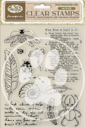 Tampons Clear Stamps « All Around » Achat Immédiat