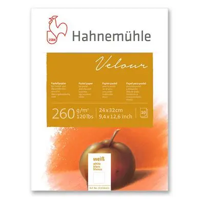 Bloc de papier pastel Velour 260 g/m² blanc 10 feuilles - Hahnemühle Populaire