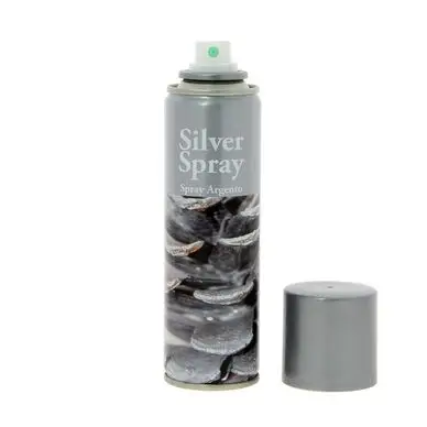Bombe de peinture Argent 150 ml - Divers Offre Spéciale