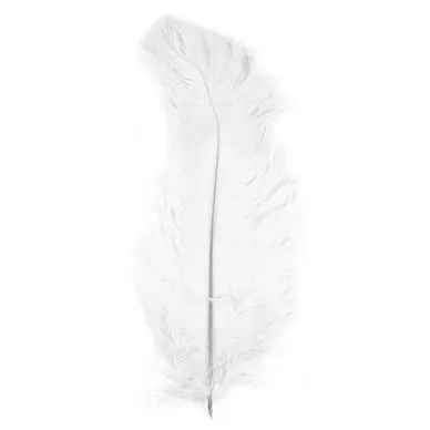 Plume d'autruche 30 cm Blanc - Rayher Prix Cassé