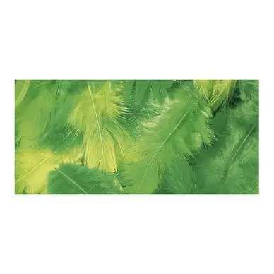 Plumes décoratives 3-10 cm Sachet de 10 g - Rayher Vente Directe