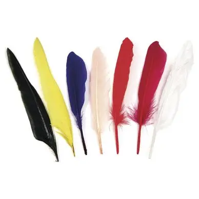 Authentique Plume indienne 17.5 cm Set de 12 couleurs assorties - Rayher