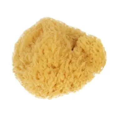 Éponge naturelle Ø 13 cm - Manet Meilleure Vente