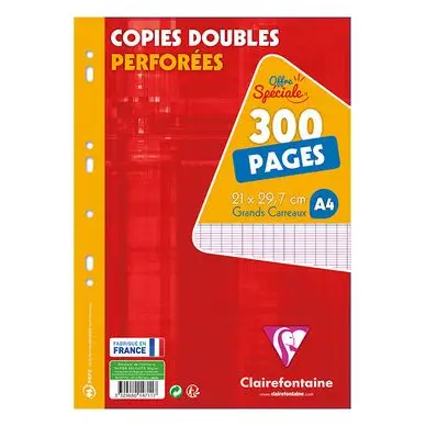 Acheter Direct Copies doubles A4 Grands carreaux 300 pages - Clairefontaine