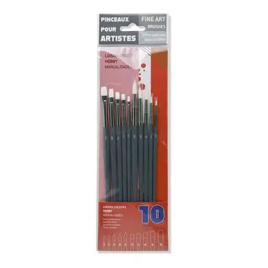 Set de 10 pinceaux synthétiques - Rougier&Plé Super Prix