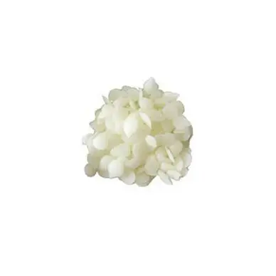 Prix Bas Cire d'abeille pure transparente - Frères Nordin (Les)