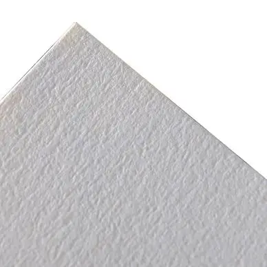 Papier C à grain 224 g/m² 75 x 110 cm - Canson Acheter En Ligne