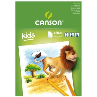 Bloc 30 feuilles de dessin blanc A4 90G - Canson Meilleure Vente