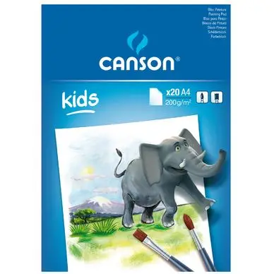 Bloc 20 feuilles de peinture A4 200G - Canson Commande En Gros