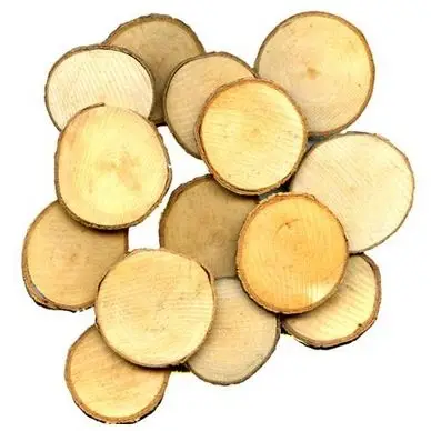 Tranche de bois Ø 3 à 3.5 cm 30 pcs - Artemio Réduction