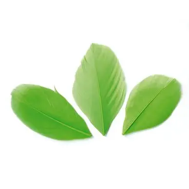 Plumes coupées 3 g Vert clair - Graine Créative Remise