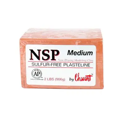 Pâte à modeler NSP médium 906 g - Chavant Offre Exclusive