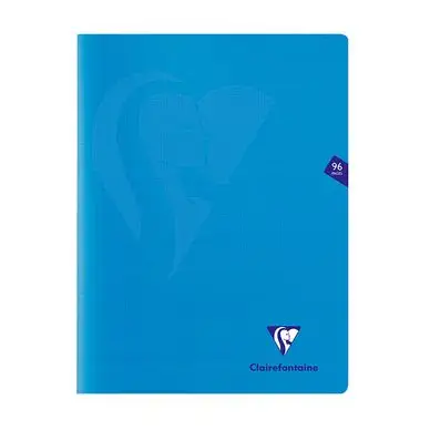 Cahier 24 x 32 cm petits carreaux Q. 5x5 96 pages Mimesys - Clairefontaine Vente Flash