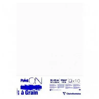 Papier Paint'On à Grain 50 x 65 cm 250 g/m² Rame 10 feuilles - Clairefontaine Pas Cher