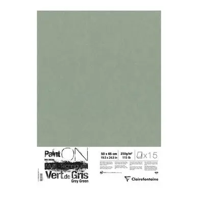 Petit Prix Papier Paint On Vert de gris 50 x 65 cm 250 g/m² 5 feuilles - Clairefontaine