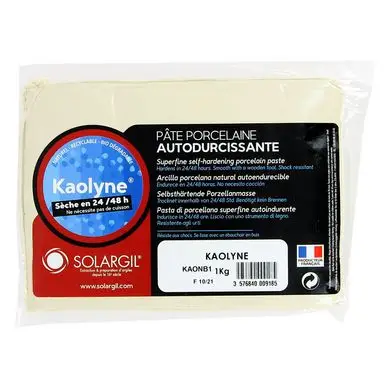 Affaire À Saisir Pâte porcelaine Autodurcissante Kaolyne - Solargil