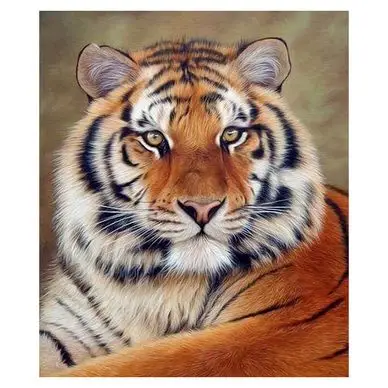 Broderie Diamant 40 x 50 cm Regard de Tigre - Figured'Art Dernière Chance