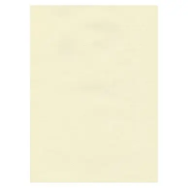 Papier Ingres The Collection 100 g/m² 48 x 62,5 cm - Hahnemühle Offre Spéciale