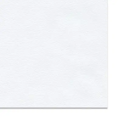 Satisfait Ou Remboursé Papier Ingres The Collection 150 g/m² 78 x 104 cm Blanc - Hahnemühle