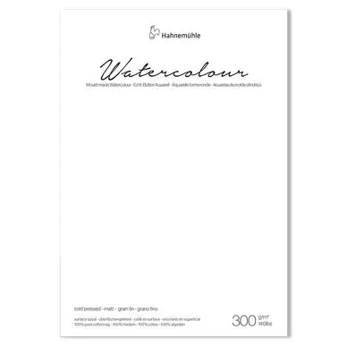Rouleau aquarelle grain fin The Collection Watercolour 300 g/m² 1,25 x 10 m - Hahnemühle Pas Cher
