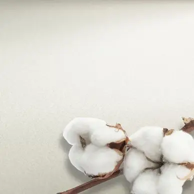 Papier aquarelle grain satiné The Collection Watercolour 300 g/m² - Hahnemühle Must-Have