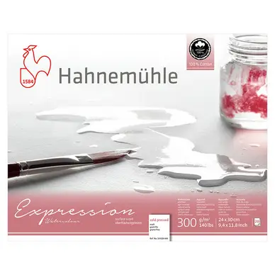 Bloc aquarelle grain fin Expression 300 g/m² 20F - Hahnemühle Nouvel Arrivage