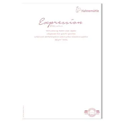 Papier aquarelle grain fin Expression 300 g/m² - Hahnemühle Acheter Direct