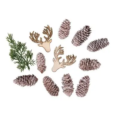 Promotion Décorations d'automne et de Noël 12 pcs - Rayher