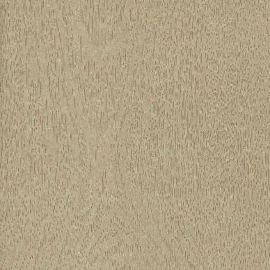 Certifié Paper Nature bois 51 x 76 cm 120 g/m² Érable - Esprit Papier