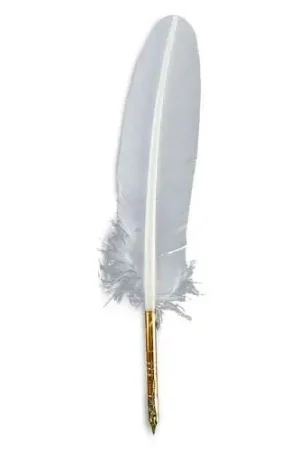Plume avec embout acier blanc Jacques Herbin Commande En Gros