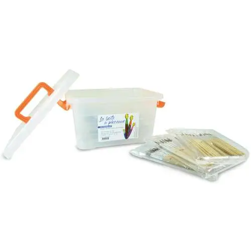 Boîte de 170 pinceaux assortis Livraison Express