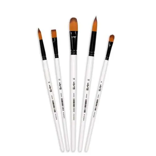 Set de 5 pinceaux moyens n°1 Darwi for You Offre Exclusive