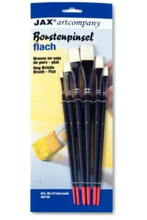 Lot de 6 brosses plates en soies de porc Meilleur Choix
