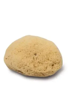 Meilleure Vente Eponge Zimocca